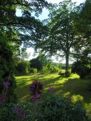 DSC00359